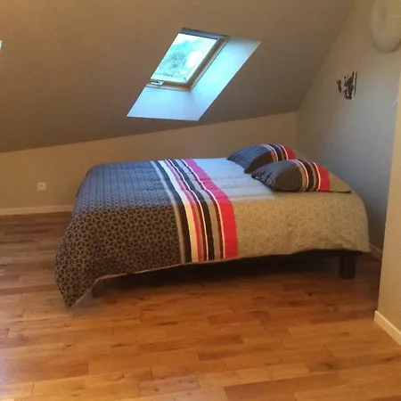 Le Faucon Pelerin * Scherwiller