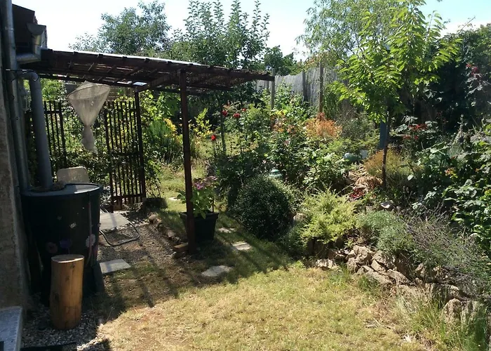 Le Faucon Pelerin * Scherwiller