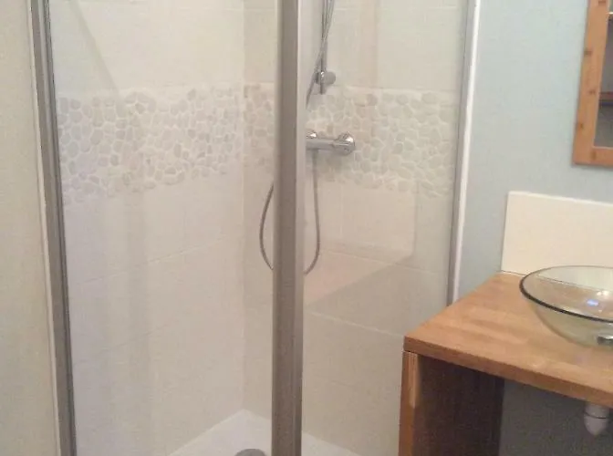 Le Faucon Pelerin Scherwiller