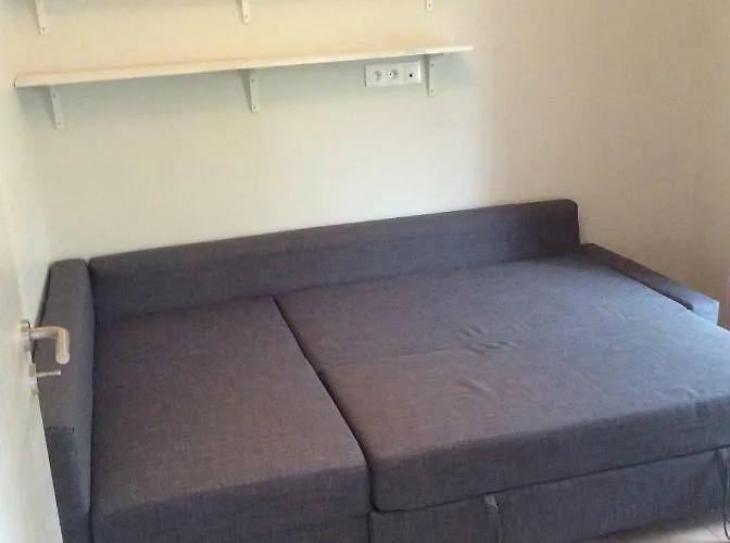 Le Faucon Pelerin * Scherwiller