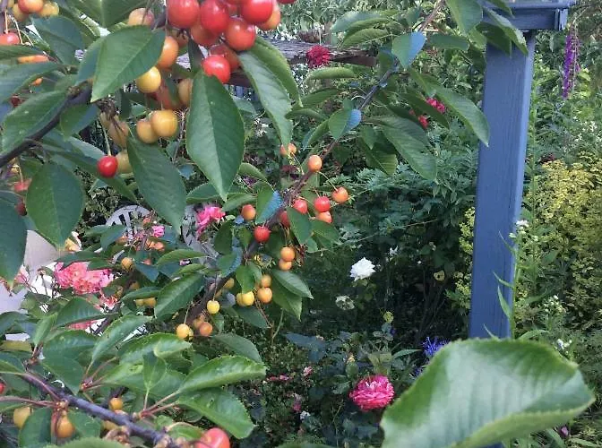 Holiday home Le Faucon Pelerin