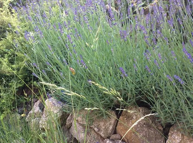 Le Faucon Pelerin Holiday home